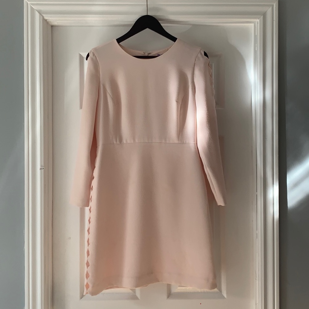 Club Monaco Dress